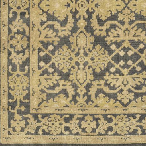 Surya Castle CSL-6004 Beige Dark Brown 2' x 3' Rug