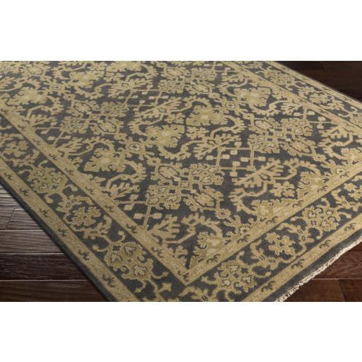 Surya Castle CSL-6004 Beige Dark Brown 2' x 3' Rug