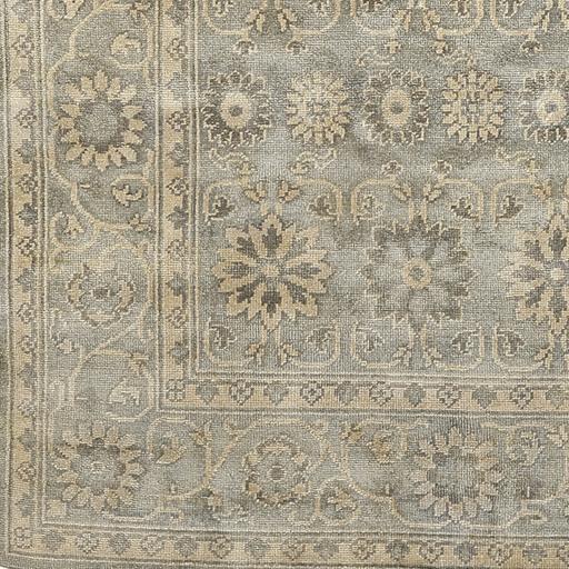 Surya Castle CSL-6006 Beige Charcoal 2' x 3' Rug