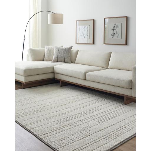 Surya Davey BODV-2300 Light Beige 10' x 14' Rug