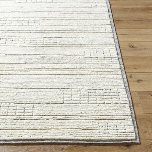 Surya Davey BODV-2300 Light Beige 10' x 14' Rug