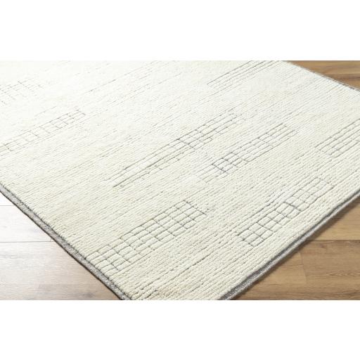 Surya Davey BODV-2300 Light Beige 2' x 3' Rug