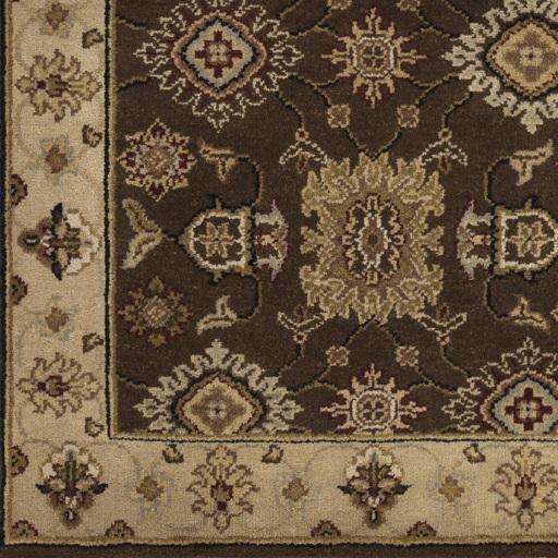 Surya Dinar DIN-1595 Dark Brown Ivory 2' x 3' Rug