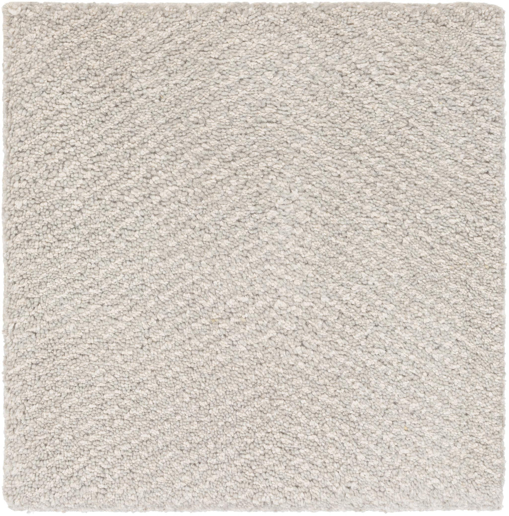 Surya Parma PMA-2303 Light Gray Off-White 2' x 3' Rug