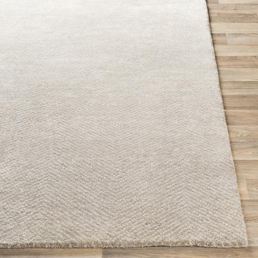 Surya Parma PMA-2303 Light Gray Off-White 2' x 3' Rug