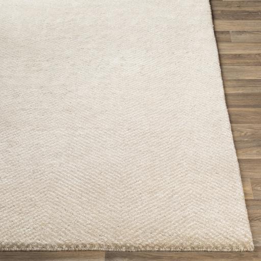 Surya Parma PMA-2304 Beige Ivory 2' x 3' Rug