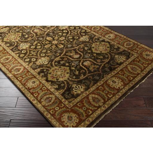 Surya Timeless TIM-7920 Burnt Orange Dark Brown 2' x 3' Rug