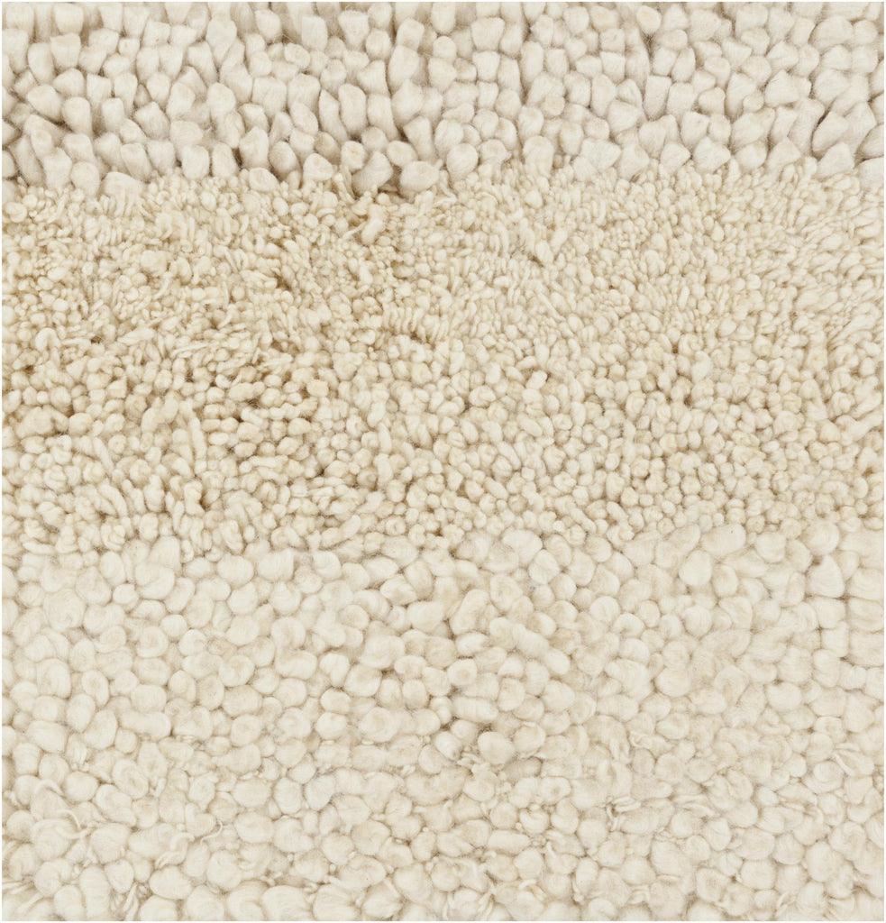 Surya Topography TOP-6802 Light Beige 2' x 3' Rug