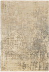 Surya Trafalgar Tfa-2300 Charcoal Ivory 2' X 3' Rug