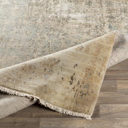 Surya Trafalgar TFA-2300 Charcoal Ivory 2' x 3' Rug