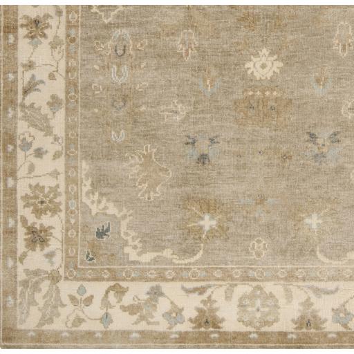 Surya Transcendent TNS-9000 Dusty Sage Light Beige 2' x 3' Rug