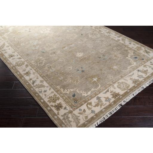 Surya Transcendent TNS-9000 Dusty Sage Light Beige 2' x 3' Rug