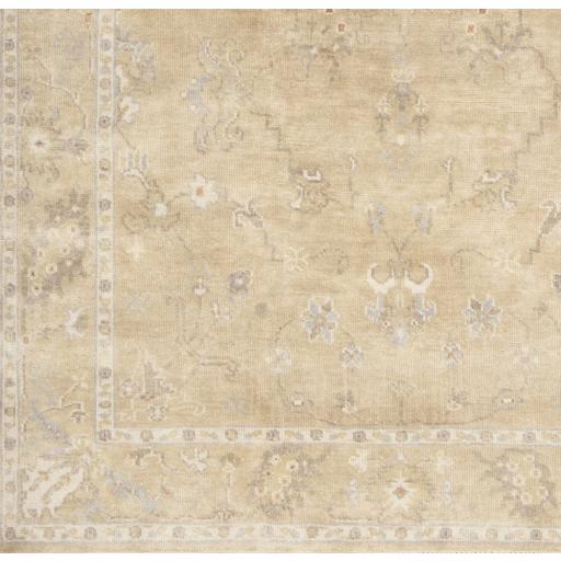 Surya Transcendent TNS-9002 Brick Red Light Beige 2' x 3' Rug