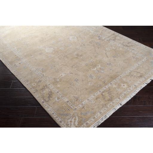 Surya Transcendent TNS-9002 Brick Red Light Beige 2' x 3' Rug