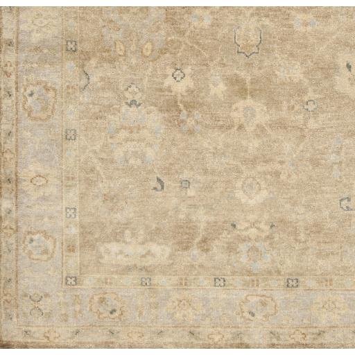 Surya Transcendent TNS-9004 Beige Brown 2' x 3' Rug