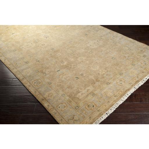 Surya Transcendent TNS-9004 Beige Brown 2' x 3' Rug