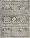 Surya Tunus Tun-2304 2' X 3' Rug