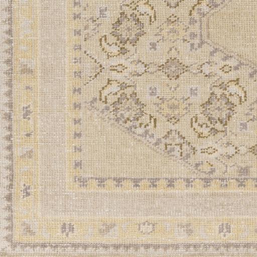 Surya Zahra ZHA-4032 Beige Dark Brown 3'6" x 5'6" Rug