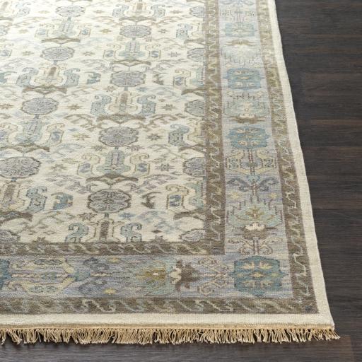 Surya Zeus ZEU-7829 Denim Dusty Sage 2' x 3' Rug