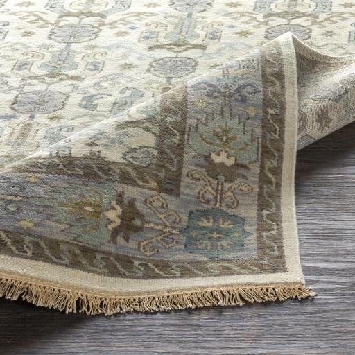 Surya Zeus ZEU-7829 Denim Dusty Sage 2' x 3' Rug