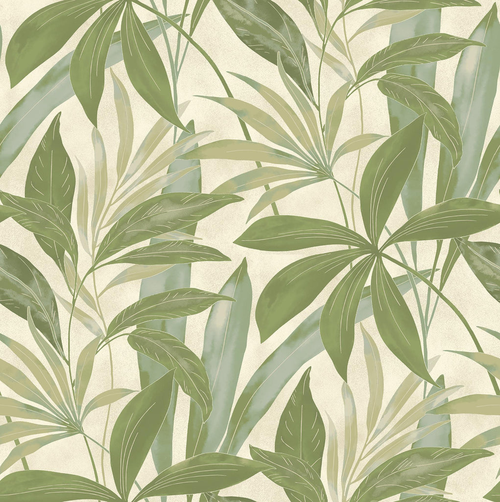 Tommy Bahama Buena Vista Bamboo Wallpaper