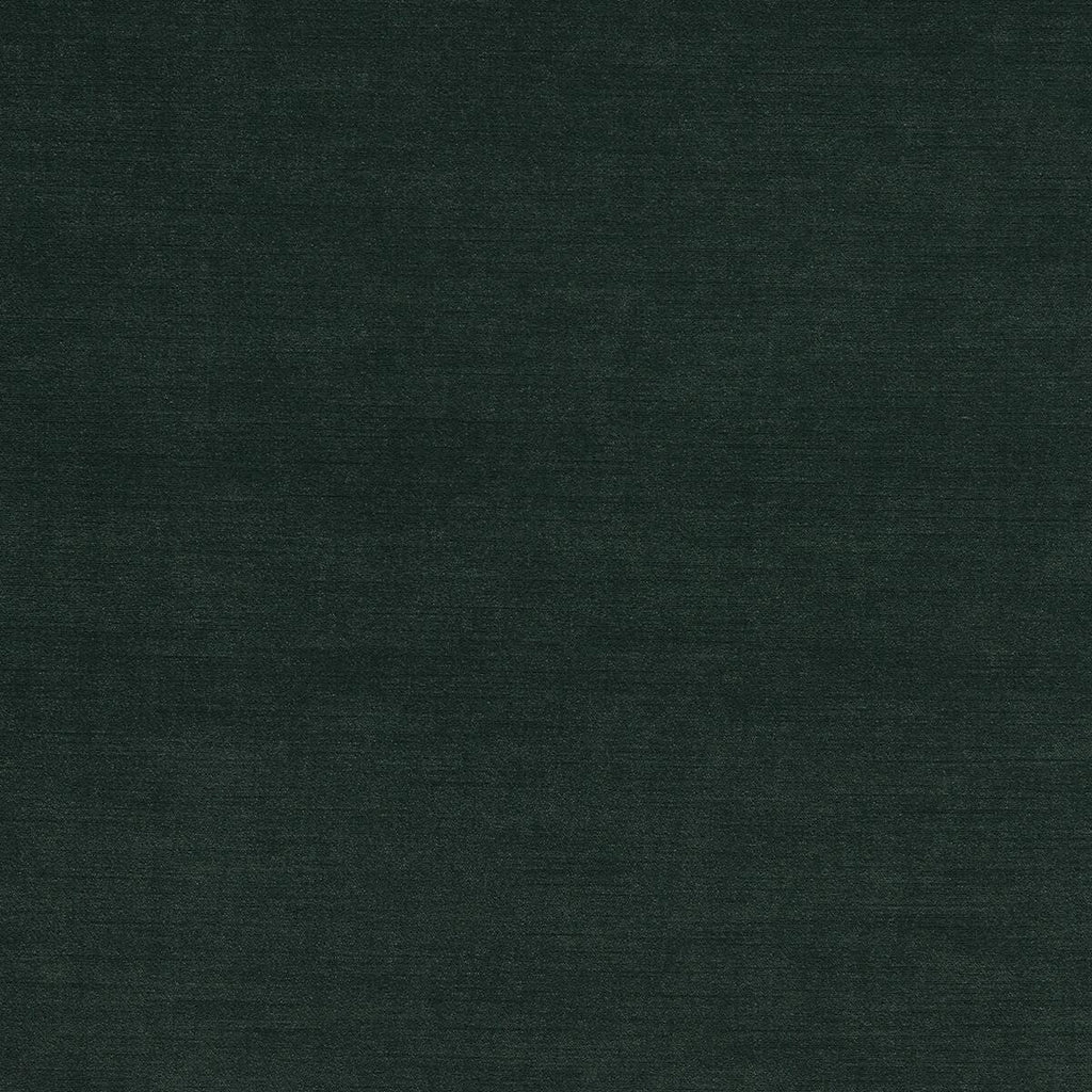 Clarke & Clarke RIVA FOREST Fabric