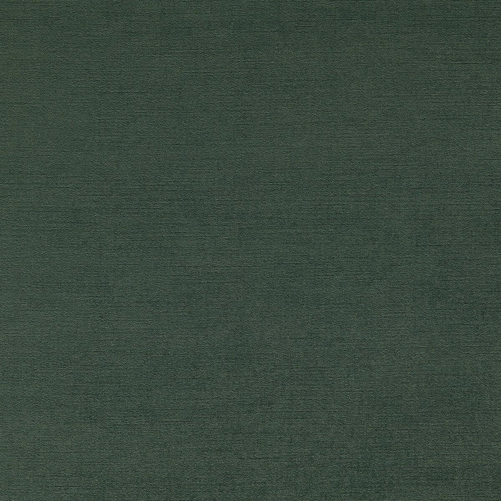 Clarke & Clarke RIVA GLADE Fabric