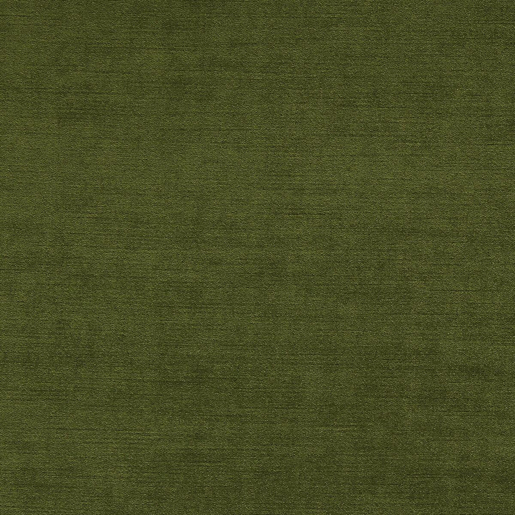 Clarke & Clarke RIVA MOSS Fabric