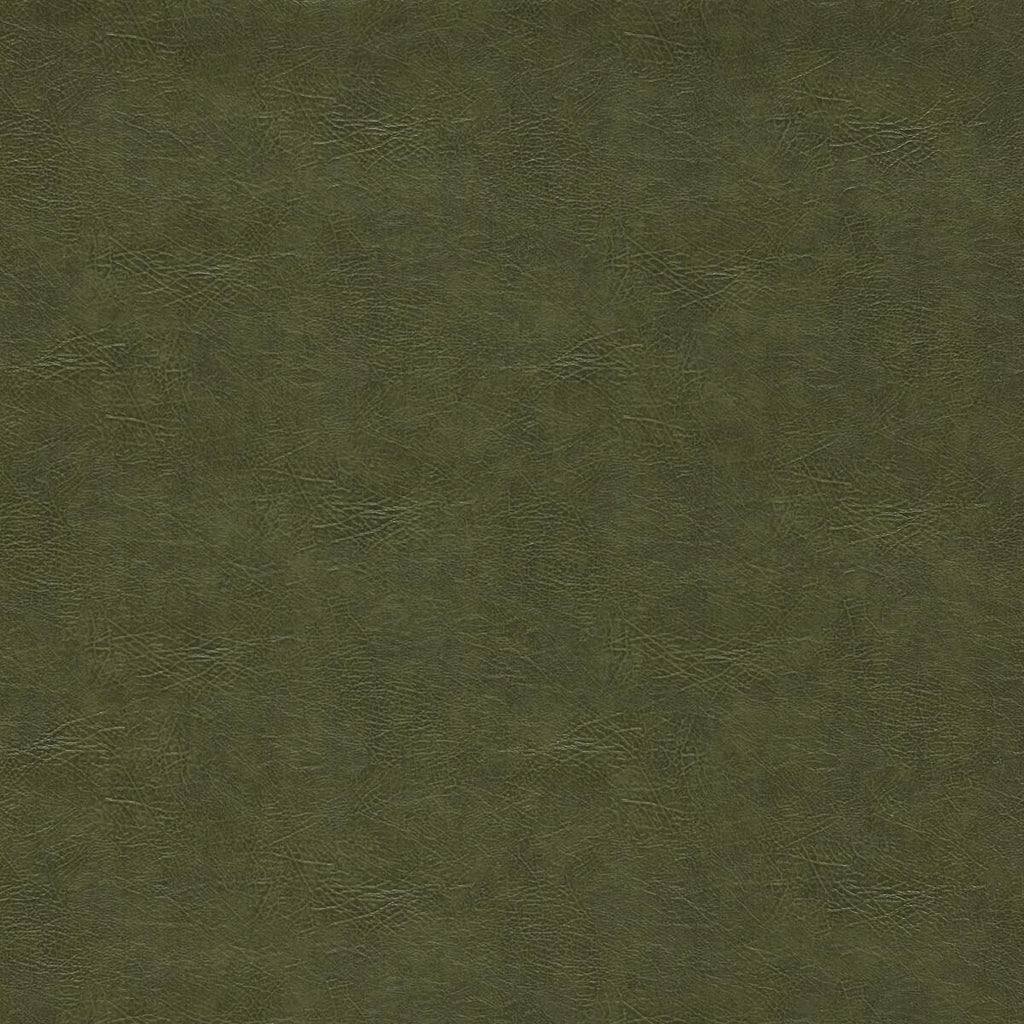 Clarke & Clarke DAWSON OLIVE Fabric