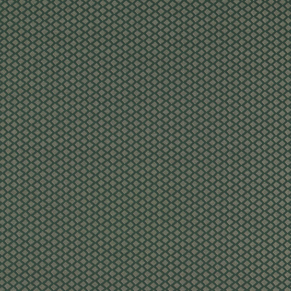 Clarke & Clarke EQUATOR FOREST Fabric