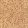 Kravet Kravet Design L-Bison-Biscotti Upholstery Fabric
