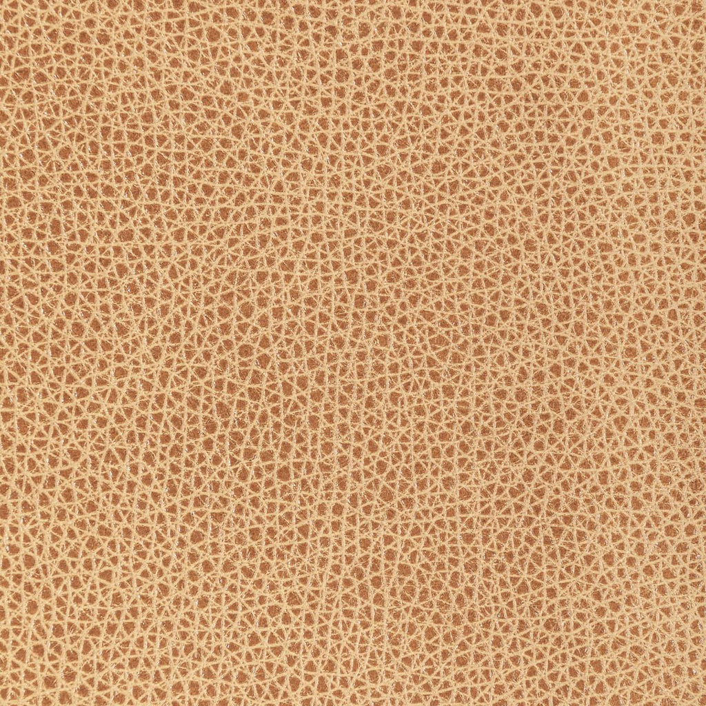 Kravet L-BISON L-BISON-BISCOTTI Fabric