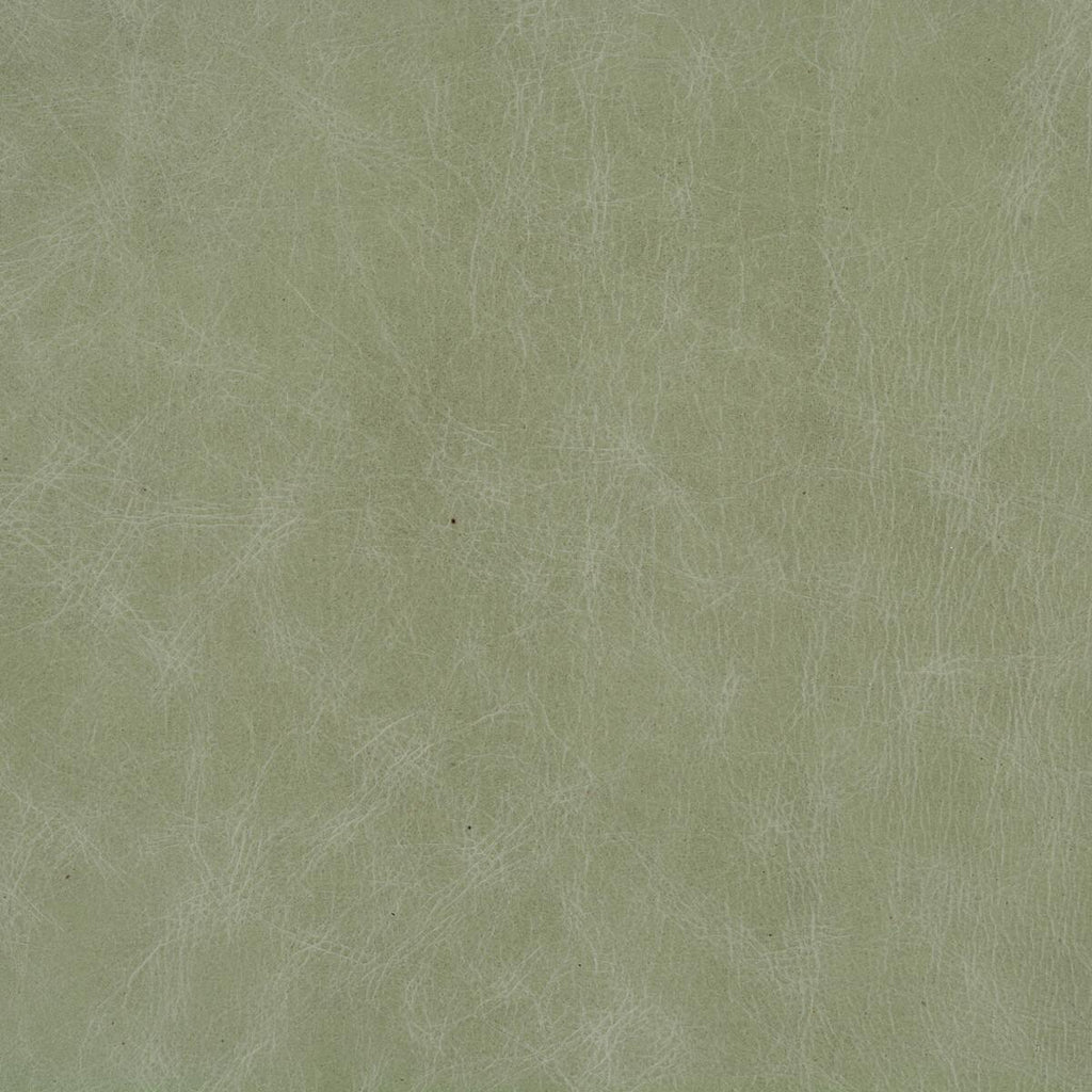 Kravet L-BEAUMONT L-BEAUMONT-EUCALYPTUS Fabric