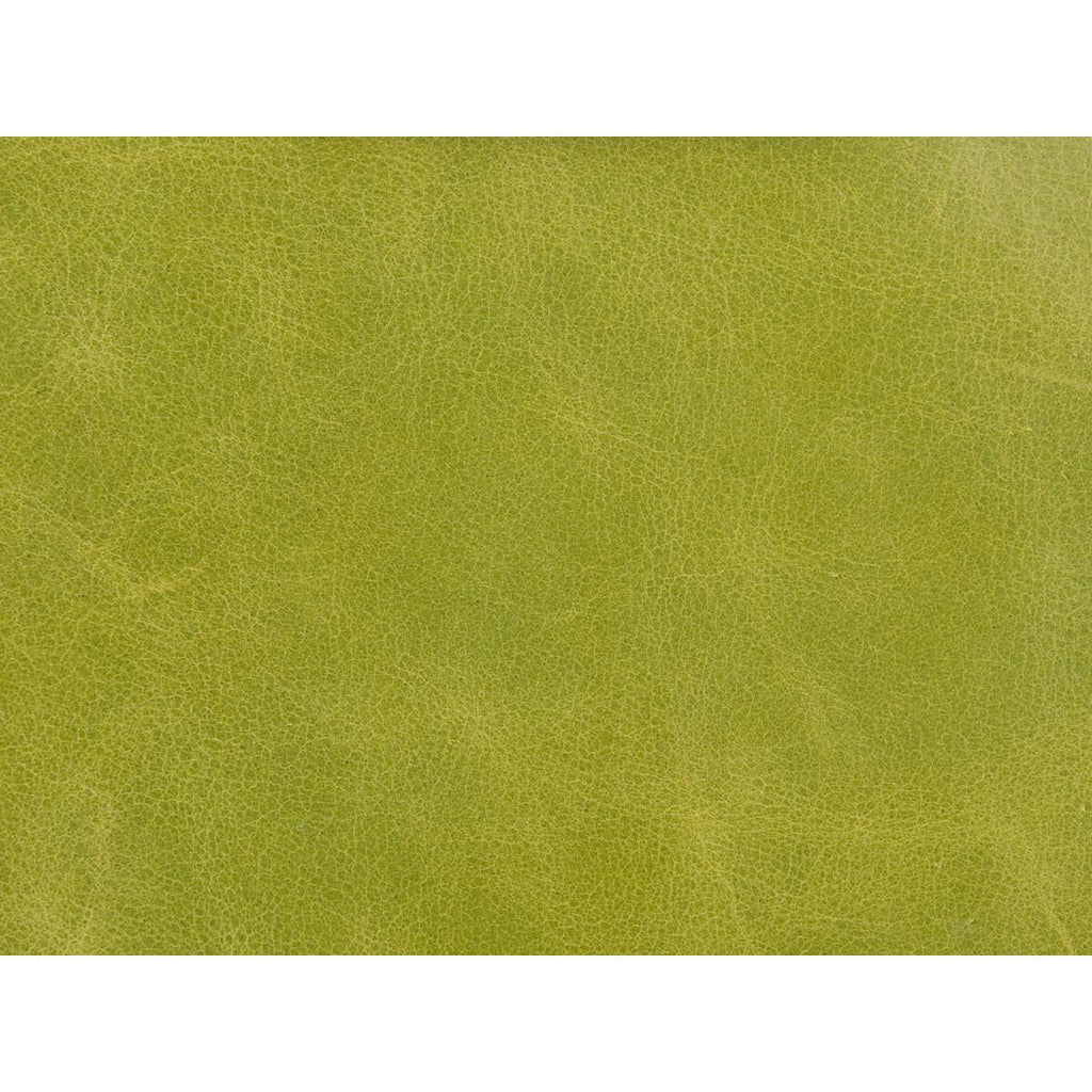 Kravet L-HAUTE L-HAUTE-CHARTREUSE Fabric