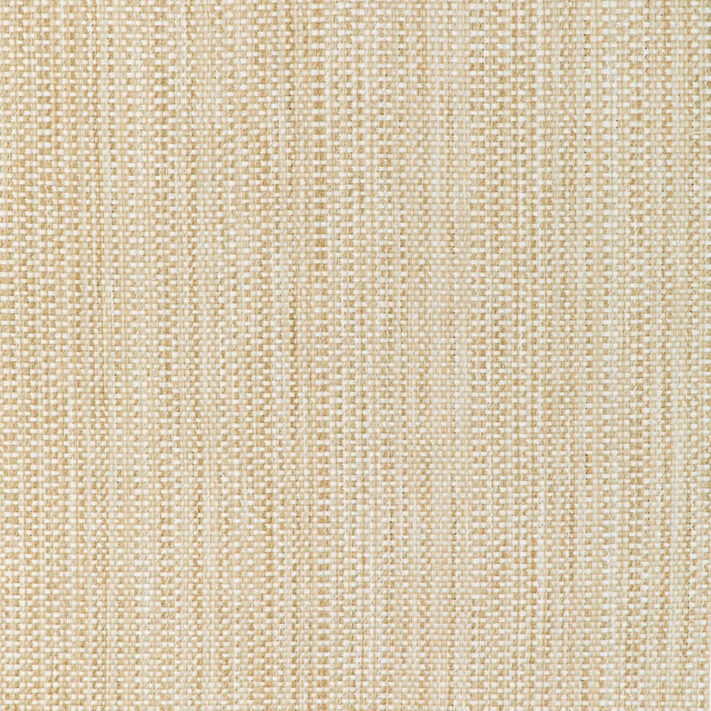 Kravet 37018 37018-116 Fabric