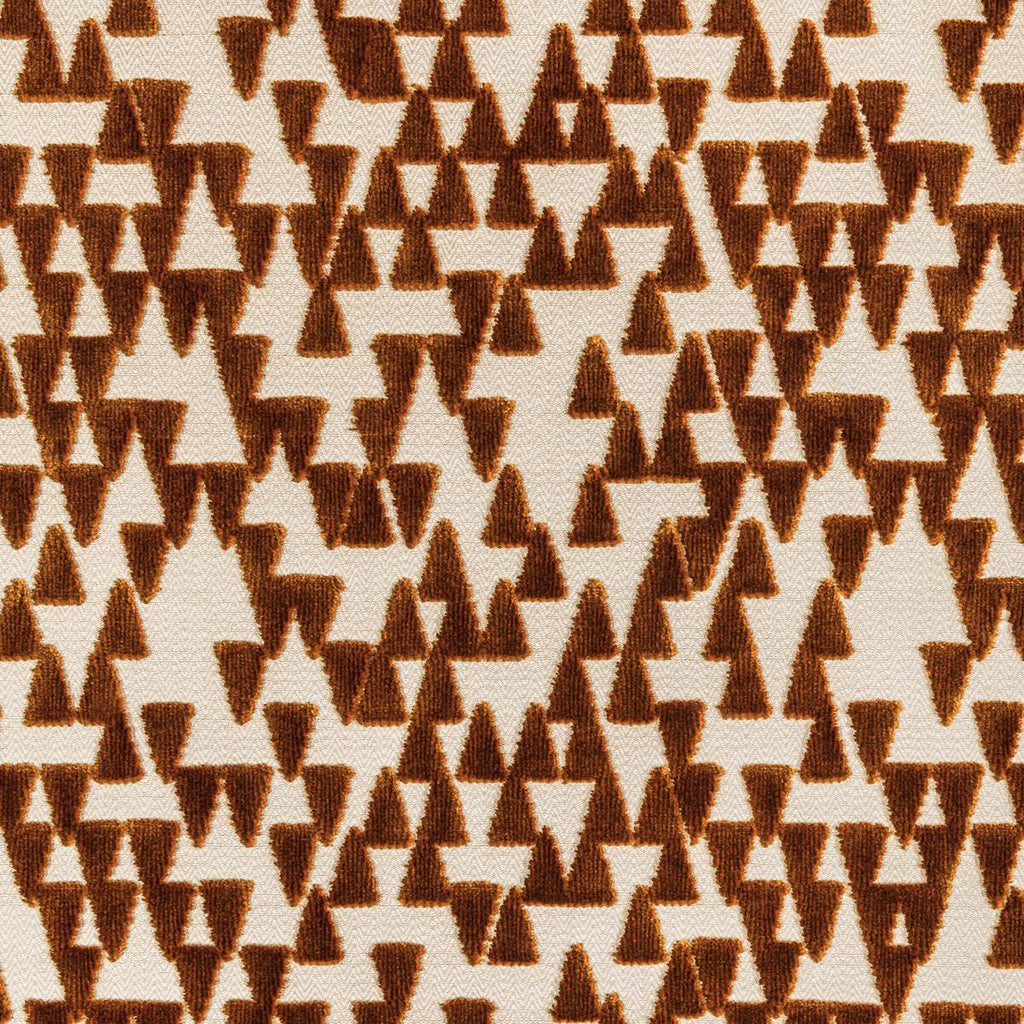 Donghia POINTS OF VIEW SPICE Fabric