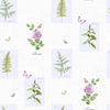 Galerie Rose Botanical Motif Multi-Coloured Wallpaper