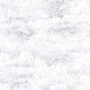 Galerie Sky Silver Grey Wallpaper