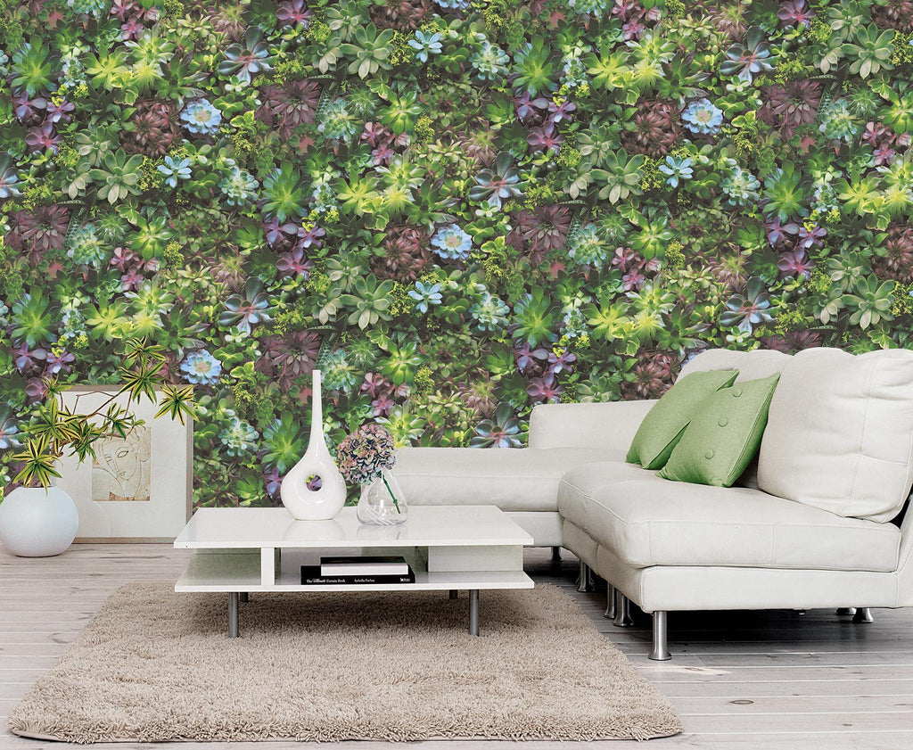 Galerie Succulents Green Wallpaper