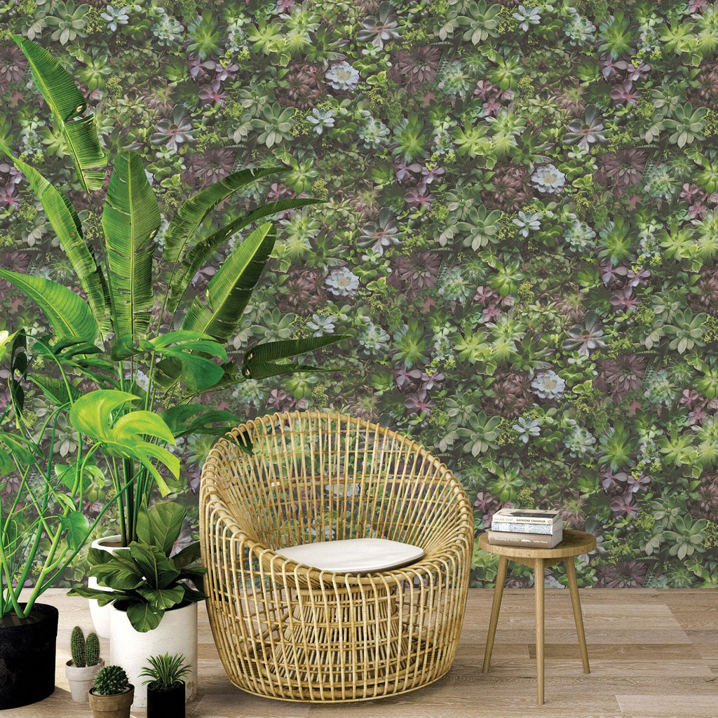 Galerie Succulents Multi-coloured Wallpaper