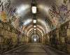 Galerie Tunnel Silver Grey Mural