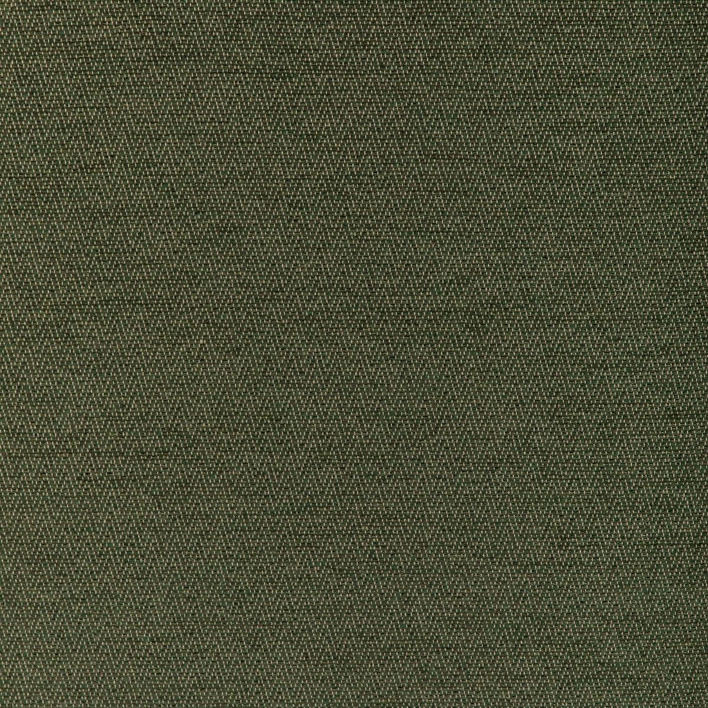 Brunschwig & Fils BEAUVOIR TEXTURE GREEN Fabric