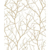 Kravet Kravet Design W4109-14 Wallpaper