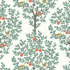 Seabrook Fruit Tree Juniper Wallpaper