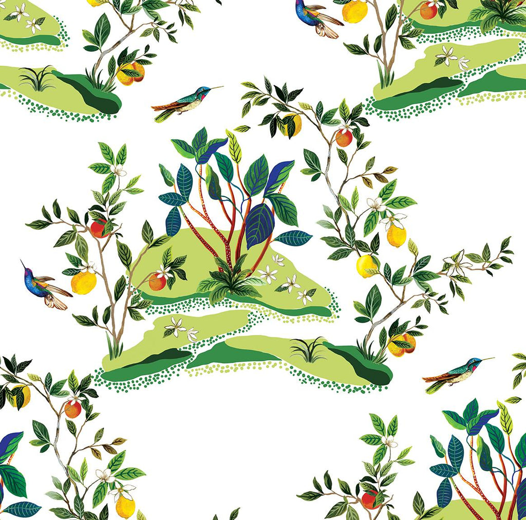 Seabrook Citrus Hummingbird White Wallpaper