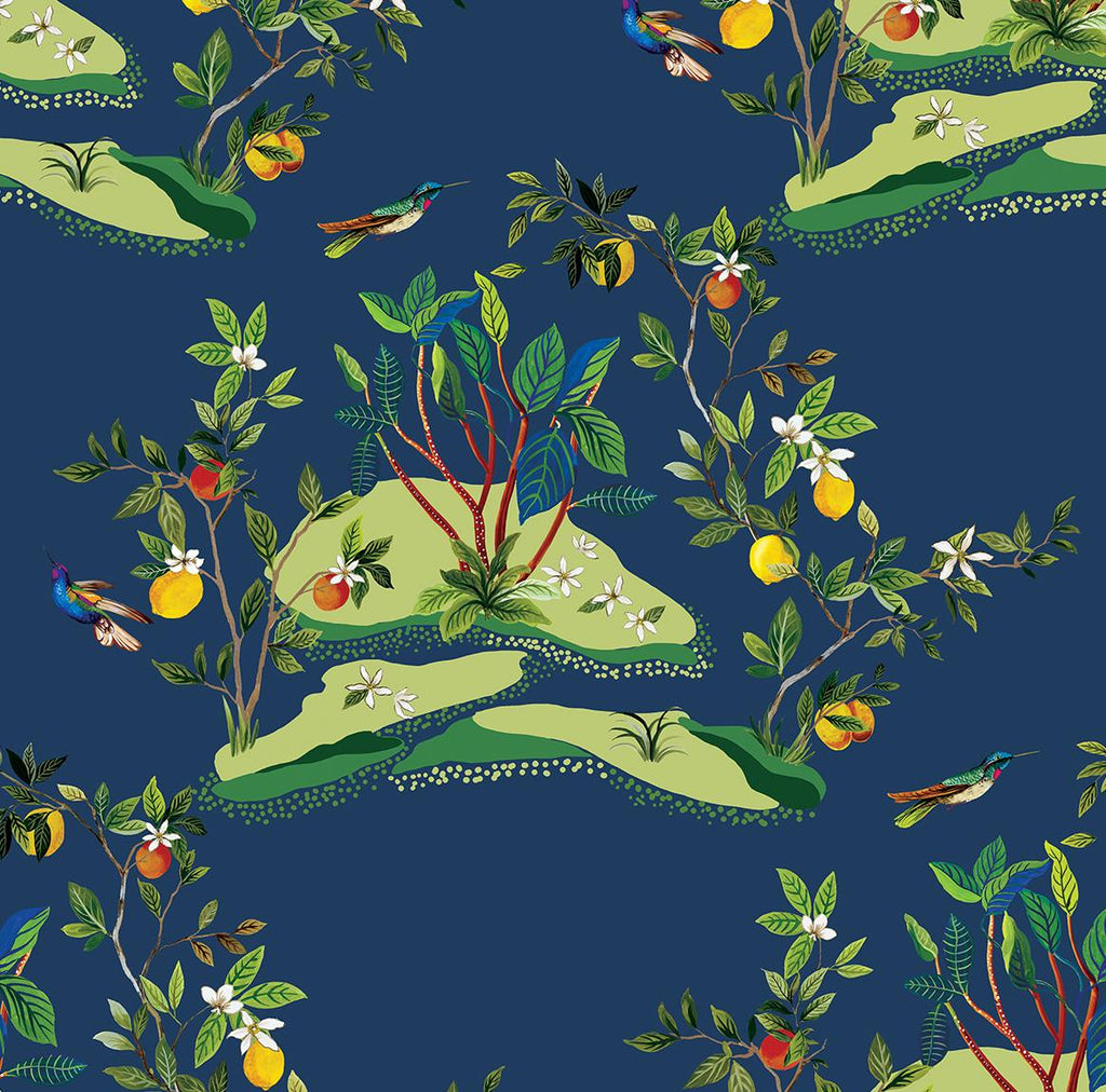 Seabrook Citrus Hummingbird Blue Wallpaper