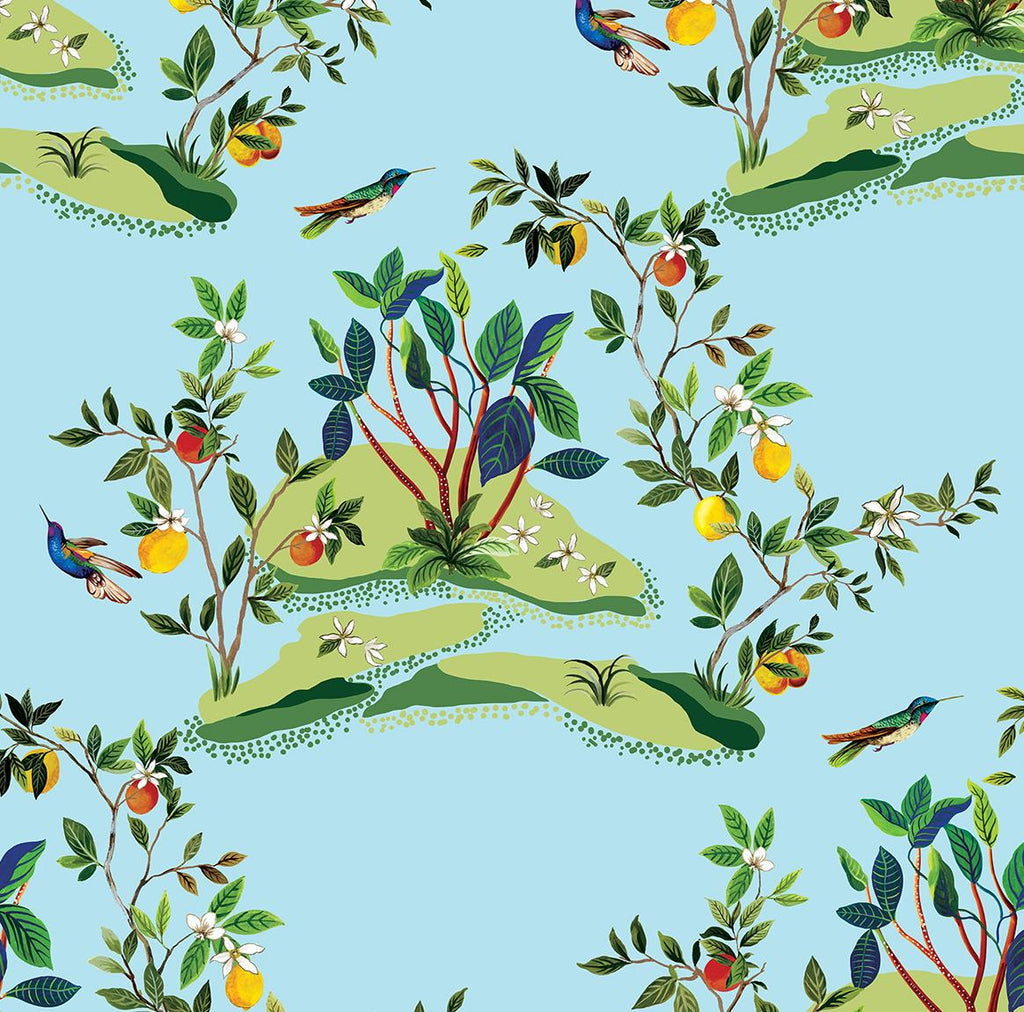 Seabrook Citrus Hummingbird Blue Wallpaper