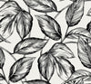 Seabrook Beckett Sketched Leaves Volcanic Black Wallpaper