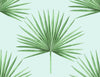 Seabrook Pacific Palm Celeste & Jade Wallpaper