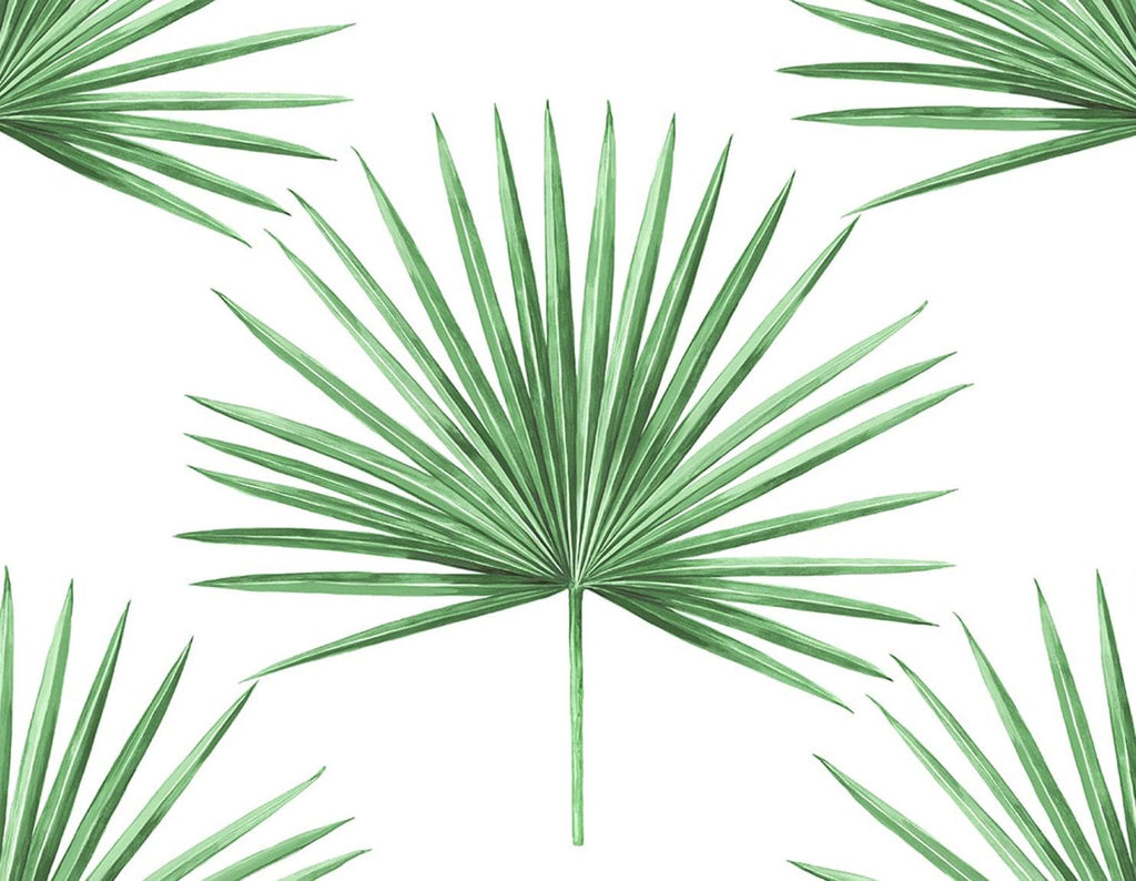 Seabrook Pacific Palm Greenery Wallpaper